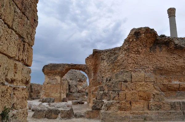 Atlı araçlar. Tunus. — Stok fotoğraf