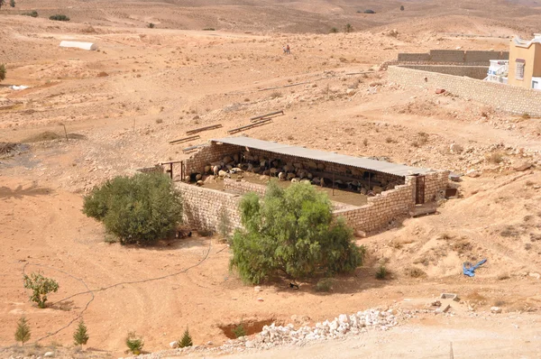 Deșertul Sahara — Fotografie, imagine de stoc