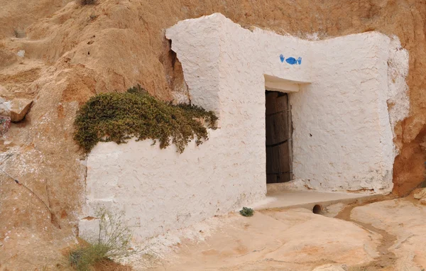 Sahra Çölü. troglodits ana sayfa.