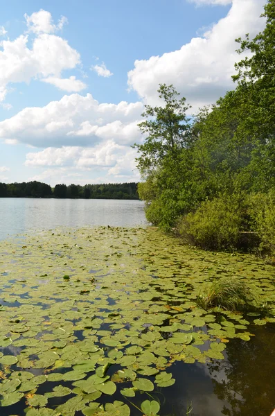 Gölde raifa Manastırı