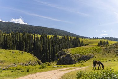 Dağlarla ve otlayan atlarla dolu yaz manzarası. Plato kıçı, Kazakistan