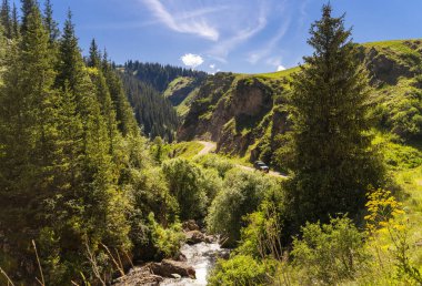 Dağlardan geçen toprak yol orman ve Kazakistan 'ın Almaty kenti yakınlarındaki yeşil çimlerle kaplı.