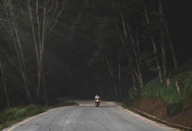 Ormanlarda scooter süren adam..