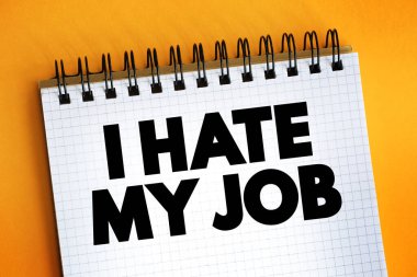 Not defterindeki iş metnimden, kavram geçmişimden nefret ediyorum.