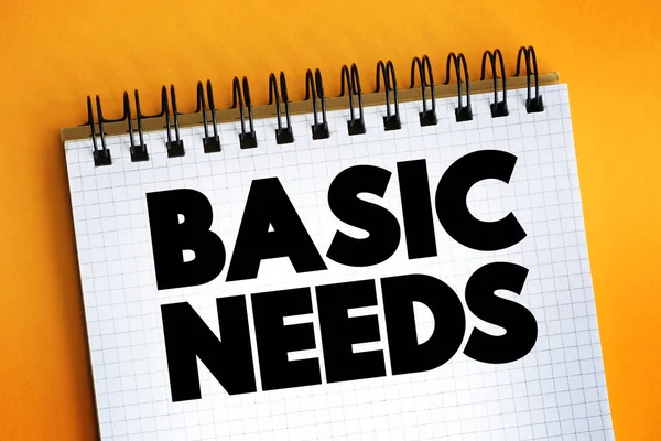 Basic Needs text on notepad, concept background