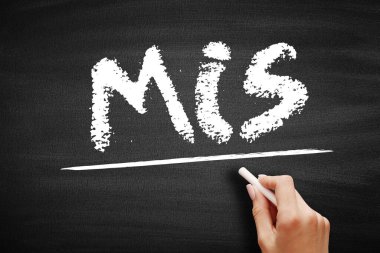 MIS Yönetim Bilgi Sistemleri - insanların, teknolojinin, organizasyonların ve aralarındaki ilişkilerin incelenmesi, karatahta kısaltma metni