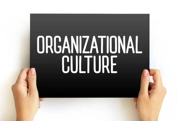 Cultura Organizacional Coleção Valores Expectativas Práticas Que Orientam Informam Ações — Fotografia de Stock