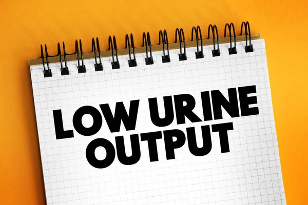 Låg Urinproduktion Text Anteckningsblock Medicinsk Begrepp Bakgrund — Stockfoto