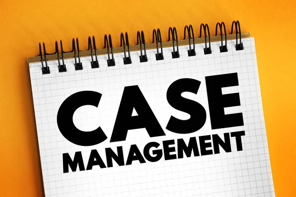 Case Management Együttműködési Folyamat Amely Értékeli Tervek Végrehajtja Koordinálja Figyelemmel — Stock Fotó