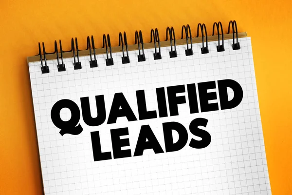 Leads Qualificados Potenciais Clientes Futuro Com Base Certos Critérios Fixos — Fotografia de Stock