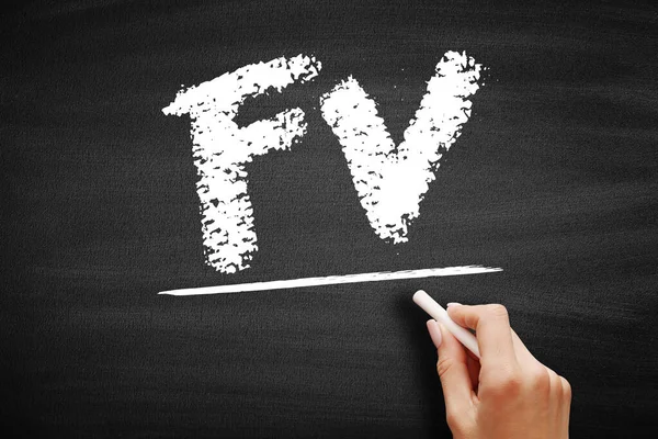 FV - Gelecek Değeri, bir varlığın tahtadaki belirli bir tarihteki, kısaltma metin kavramındaki değeridir