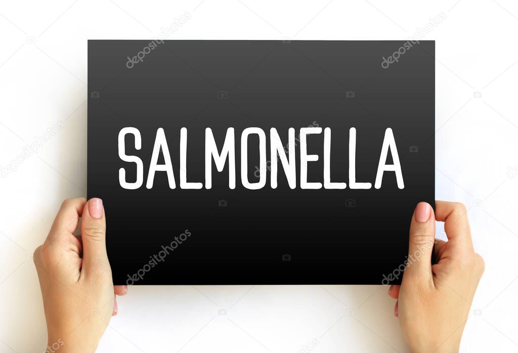 Salmonella is a genus of rod-shaped Gram-negative bacteria of the family Enterobacteriaceae, text concept on card