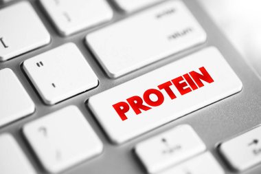 Protein - large biomolecules and macromolecules that comprise one or more long chains of amino acid residues, text concept button on keyboard