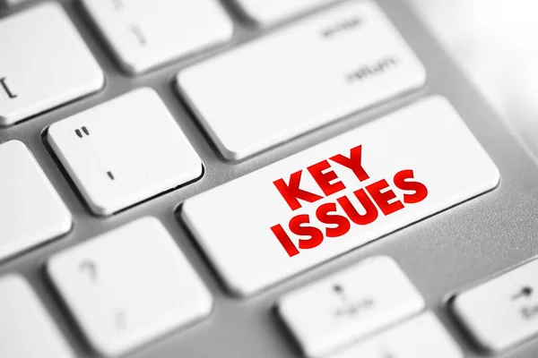 Key Issues Text Button Keyboard Concept Background — Foto de Stock
