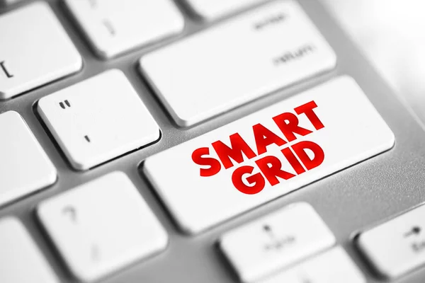 Smart Grid Electrical Grid Which Includes Variety Operation Energy Measures — Fotografia de Stock