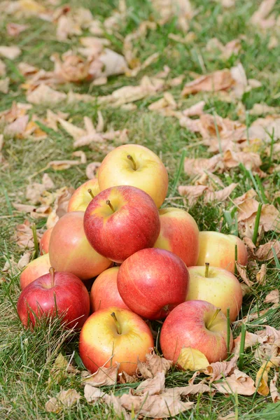 秋の時間でリンゴ — ストック写真