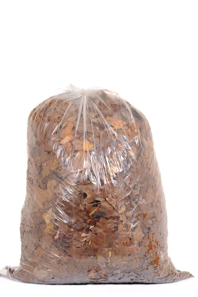 Bag of fall leaves for recycling — Stock Photo, Image