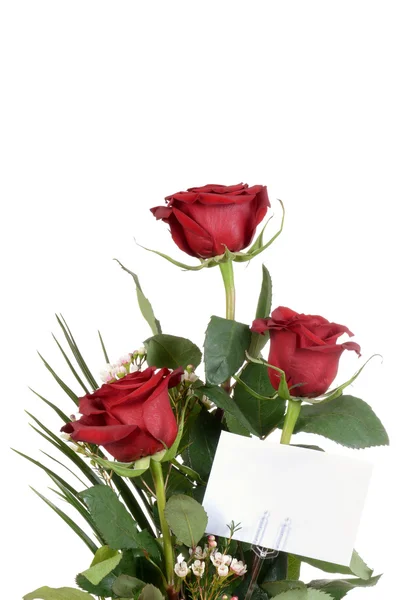 Closeup rose bouquet — Stock Photo, Image
