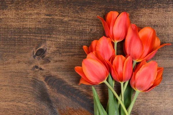 Tulipany makro na drewno — Zdjęcie stockowe