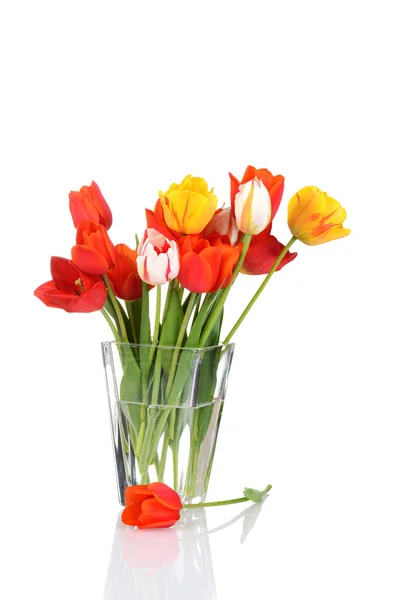 Tulpen in een glasvaas — Stockfoto