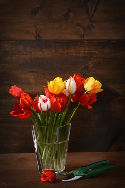 Kleurrijke tulpen — Stockfoto