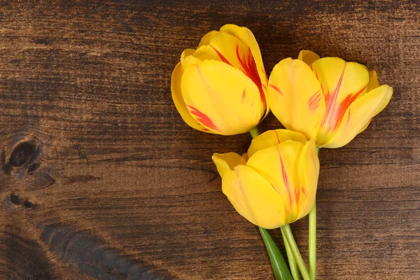 Macro Yellow tulips on wood — Stock Photo, Image