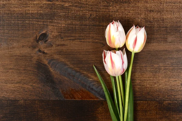 Weiße Tulpen auf Holz — Stockfoto