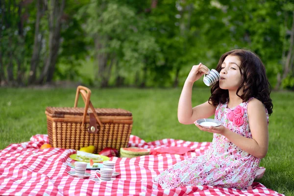 Маленькая девочка пикник пить чай — стоковое фото