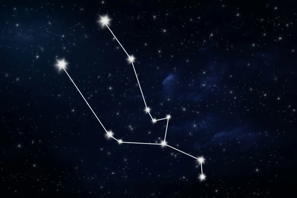Taurus horoscope star sign — Stock Photo, Image
