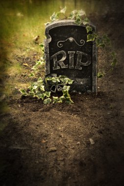 Ivy with Grave