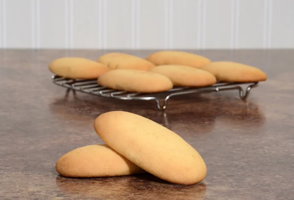 Macro gigante dama dedo galletas — Foto de Stock