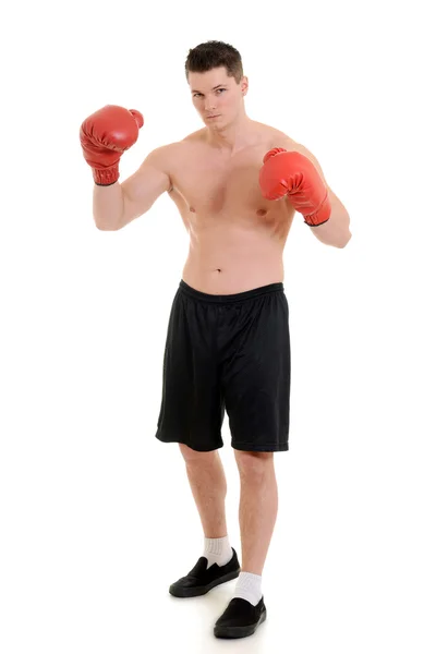 Male boxer with red gloves — Stock Photo, Image