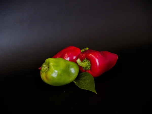 Pepper ´Sandra´on a black background