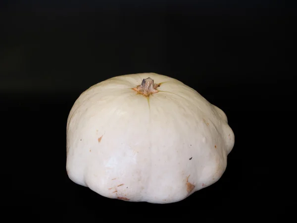 Patisson ´White cusiard´