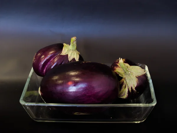 Eggplant - Solanum melongena ´Black beauty´