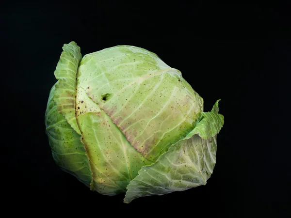 lahana turşusu - lahana izole siyah