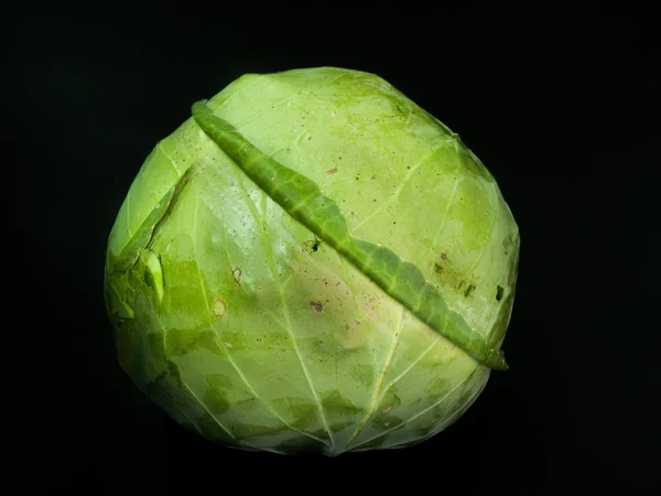 lahana turşusu - lahana izole siyah