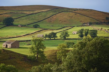Yorkshire dales evening clipart