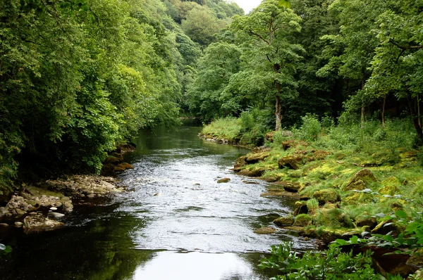 Fiume Wharfe vicino strid — Foto Stock