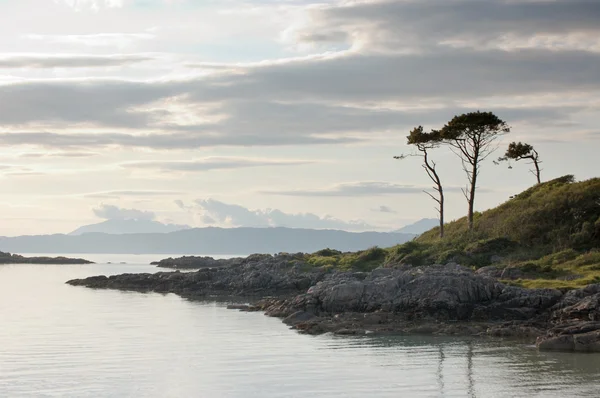 Árboles por bahía en Arisaig —  Fotos de Stock