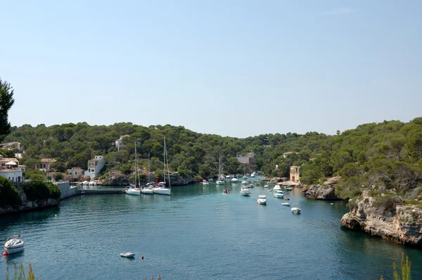 High view over figuera — Stock Photo, Image