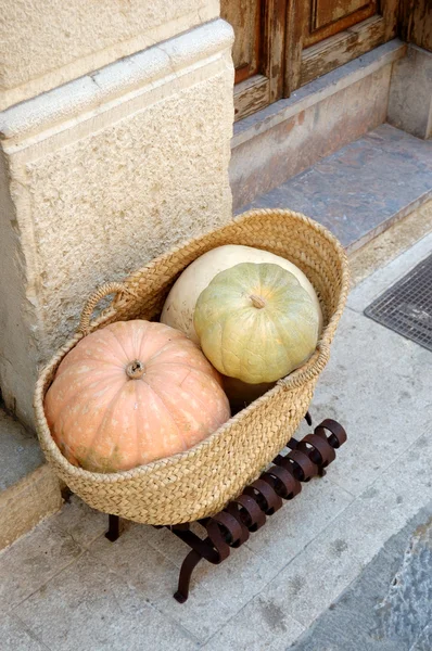 Squashes