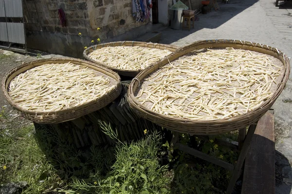 Bambu sürgün hongcun kurutma