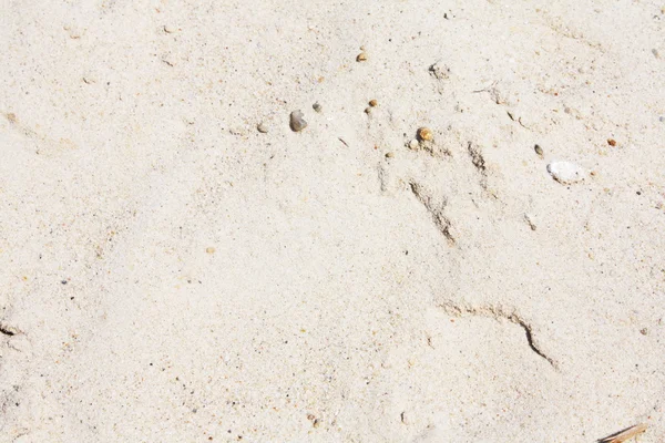 Areia branca — Fotografia de Stock