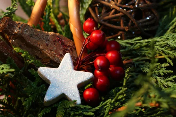 Estrela de Natal — Fotografia de Stock