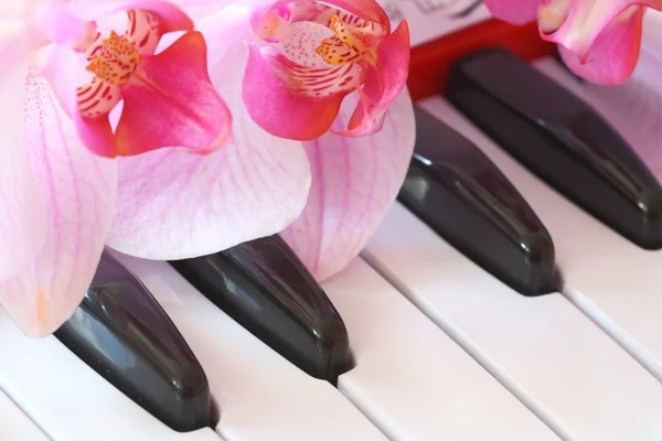 Piano keys — Stock Photo, Image