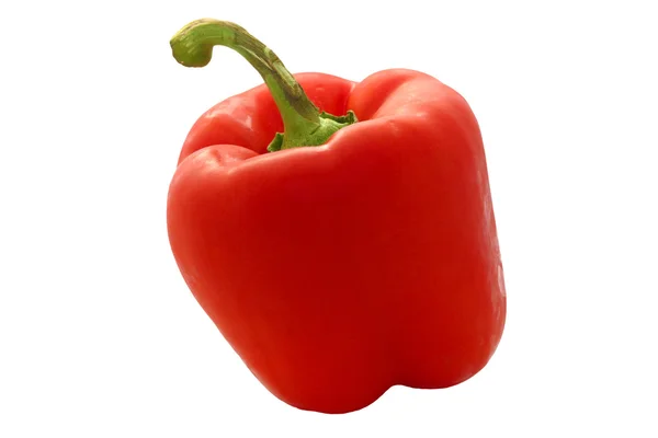 Röd paprika — Stockfoto