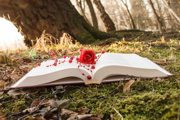 Book and rose — Stock Photo, Image