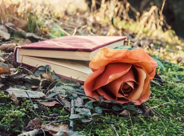 Livro e rosa — Fotografia de Stock