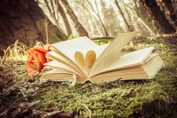 Instagram vintage effect, love autumn - open book with heart and rose on the moss in the forest